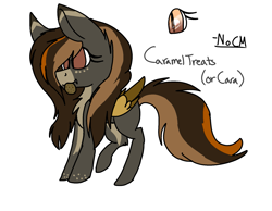 Size: 1711x1331 | Tagged: safe, artist:brokensilence, oc, oc only, oc:cara, oc:caramel treats, bat pony, pony, reference sheet, solo