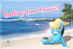 Size: 3872x2592 | Tagged: safe, artist:iheartjapan789, oc, oc only, oc:andrea, pony, unicorn, beach, hat, hawaii, irl, photo, ponies in real life, postcard