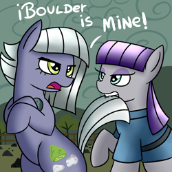 Size: 1700x1700 | Tagged: safe, artist:radek1212, boulder (pet), limestone pie, maud pie, earth pony, pony, angry, biting, female, fight, looking at each other, love triangle, mare, pie sisters, rock farm, tail bite