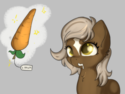Size: 4000x3000 | Tagged: artist needed, safe, artist:dumbwoofer, edit, verity, earth pony, pony, carrot, drool, eyes open, female, filly, food, hungry, price tag, simple background, solo