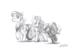 Size: 2709x1853 | Tagged: safe, artist:syncallio, buzzer (g1), morning glory, starshine, g1, g1 to g4, generation leap, pencil drawing, race swap, summer wing ponies, traditional art