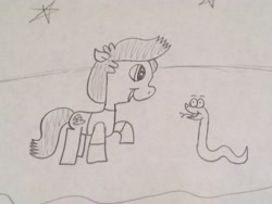 Size: 3264x2448 | Tagged: safe, artist:smurfettyblue, pony, snake, best dudes, craig slithers, pencil drawing, ponified, sanjay and craig, sanjay patel, stars, traditional art, wip