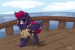 Size: 3000x2000 | Tagged: safe, artist:ruushiicz, oc, oc only, oc:straight shot, pegasus, pony, clothes, ocean, pirate, ship, signature, solo, sword, weapon