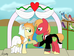 Size: 2800x2100 | Tagged: safe, artist:cloudy95, big macintosh, oc, oc:haven, bird, pony, canon x oc, clothes, dress, female, high res, male, mare, stallion, straight, tuxedo, wedding dress