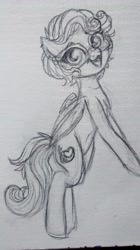 Size: 1456x2592 | Tagged: safe, artist:hippykat13, oc, oc only, oc:kitty sweet, pegasus, pony, black and white, cute, glasses, grayscale, monochrome, piercing, ponified animal photo, sketch, solo, standing, traditional art