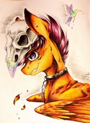 Size: 3045x4160 | Tagged: safe, artist:scootiegp, scootaloo, hummingbird, absurd resolution, chains, collar, skull