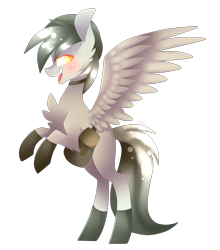 Size: 2209x2505 | Tagged: safe, artist:huirou, oc, oc only, pegasus, pony, chest fluff, simple background, solo, transparent background