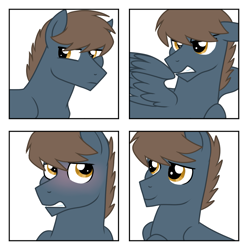 Size: 1139x1147 | Tagged: safe, artist:tambelon, oc, oc only, oc:aegis, pegasus, pony, expressions, male, solo, stallion