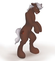 Size: 1140x1258 | Tagged: safe, artist:mythos art, oc, oc only, oc:cherry cordial, earth pony, pony, belly button, male, rearing, solo, stallion, standing