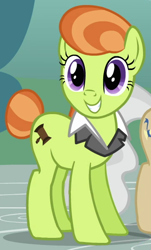 Size: 360x596 | Tagged: safe, screencap, lady justice, mayor mare, swift justice, earth pony, pony, a friend in deed, background pony, female, mare, smile song, smiling, solo focus, suit collar, tail bun