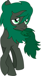 Size: 552x1031 | Tagged: safe, artist:minus, derpibooru exclusive, oc, oc only, oc:minus, earth pony, pony, 2017 community collab, derpibooru community collaboration, frown, green eyes, male, raised hoof, sad, simple background, solo, transparent background, vector