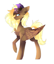 Size: 2505x2945 | Tagged: safe, artist:huirou, oc, oc only, oc:night owl, pegasus, pony, female, mare, simple background, solo, transparent background