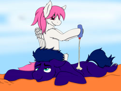 Size: 4032x3024 | Tagged: safe, artist:void-dasher, oc, oc only, earth pony, pegasus, pony, absurd resolution, beach, female, male, mare, stallion, sunscreen