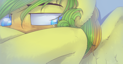 Size: 1024x538 | Tagged: safe, artist:starlyflygallery, oc, oc only, pegasus, pony, close-up, crying, female, mare, solo