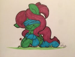 Size: 1024x768 | Tagged: safe, artist:reglisse-sama, oc, oc only, oc:💚, earth pony, pony, clothes, flower, scarf, socks, solo, traditional art