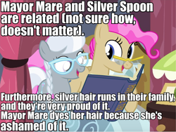 Size: 796x597 | Tagged: safe, artist:flash equestria photography, edit, mayor mare, silver spoon, headcanon, impact font, non-dyed mayor, text, text edit