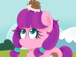 Size: 1600x1200 | Tagged: safe, artist:zlight, lily longsocks, earth pony, hedgehog, pony, female, filly, looking up, pet, sitting on head, solo