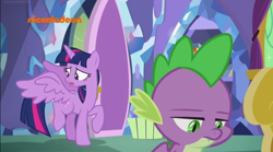 Size: 1034x576 | Tagged: safe, derpibooru import, screencap, spike, twilight sparkle, twilight sparkle (alicorn), alicorn, dragon, father knows beast, father knows best, nickelodeon, twilight's castle