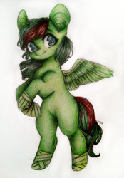 Size: 2779x3998 | Tagged: safe, artist:sunshine, derpibooru import, oc, oc only, oc:windy barebow evergreen, pegasus, pony, ears, female, hoof wraps, hooves, looking at you, mare, smiling, solo, standing, traditional art, two toned mane, wings