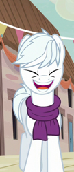 Size: 234x540 | Tagged: safe, derpibooru import, screencap, double diamond, earth pony, pony, to where and back again, clothes, cropped, eyes closed, happy, laughing, male, scarf, smiling, solo, stallion, xd