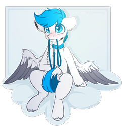 Size: 1447x1500 | Tagged: safe, artist:trickate, oc, oc only, pegasus, pony, blushing, collar, leash, male, mouth hold, solo, stallion