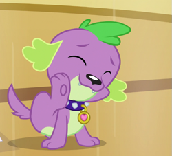 Size: 677x615 | Tagged: safe, derpibooru import, screencap, spike, spike the regular dog, dog, dance magic, equestria girls, spoiler:eqg specials, cropped, cute, eyes closed, male, paw pads, paws, puppy, smiling, solo, spikabetes, tail, underpaw