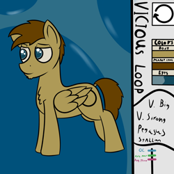 Size: 2000x2000 | Tagged: safe, artist:dttart, oc, oc only, oc:vicious loop, pegasus, pony, male, reference sheet, solo