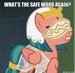 Size: 600x580 | Tagged: safe, derpibooru import, edit, edited screencap, screencap, somnambula, pegasus, pony, blindfold, bondage, caption, cropped, female, image macro, lip bite, mare, meme, raised hoof, safe word, solo, somnambula's blindfold