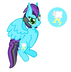 Size: 1346x1362 | Tagged: safe, artist:casanova-mew, oc, oc only, oc:thunderbolt, pegasus, pony, female, mare, offspring, parent:rainbow dash, parent:soarin', parents:soarindash, reference sheet, solo