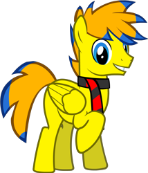 Size: 931x1089 | Tagged: safe, artist:raindashesp, derpibooru import, oc, oc:sonic song, pegasus, pony, 2019 community collab, derpibooru community collaboration, simple background, solo, transparent background