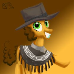 Size: 1500x1500 | Tagged: safe, artist:kelseyleah, cheese sandwich, pony, clothes, hat, poncho, solo, the pony with no name