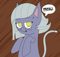 Size: 2000x1900 | Tagged: safe, artist:mrneo, derpibooru import, limestone pie, cat, cat pony, original species, pony, behaving like a cat, cat ears, catified, cross-popping veins, female, meow, solo, species swap