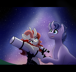 Size: 3507x3322 | Tagged: safe, artist:marukouhai, oc, oc only, oc:bella, oc:ceres, pony, unicorn, curved horn, female, high res, lidded eyes, male, mare, night, offspring, parent:flash sentry, parent:twilight sparkle, parents:flashlight, stallion, starry eyes, straight, telescope, wingding eyes