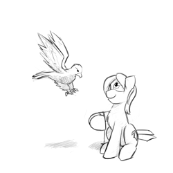 Size: 1280x1280 | Tagged: safe, artist:captainhoers, oc, oc only, oc:aerie rufter, pony, chest fluff, falcon, falconry, grayscale, monochrome, sketch