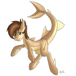 Size: 1280x1280 | Tagged: safe, artist:zaylem, oc, oc only, oc:zaylem, original species, shark, shark pony, fins, male, simple background, solo, transparent background