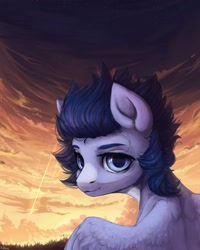 Size: 2000x2500 | Tagged: safe, artist:graypillow, oc, oc only, pegasus, pony, grass, male, scenery, solo, stallion