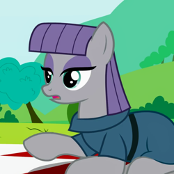 Size: 924x924 | Tagged: safe, artist:agrol, derpibooru import, screencap, maud pie, earth pony, pony, clothes, cropped, female, how the ponies made season 4, lidded eyes, mare, solo, wut face