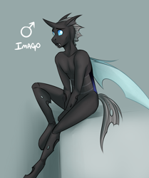 Size: 2123x2540 | Tagged: safe, artist:askbubblelee, oc, oc only, oc:imago, anthro, changeling, unguligrade anthro, changeling oc, fangs, male, rule 63, simple background, sitting, solo, stallion