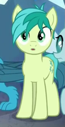 Size: 301x587 | Tagged: safe, derpibooru import, screencap, gallus, ocellus, sandbar, earth pony, pony, what lies beneath, cropped, male, offscreen character, paws, shocked, solo focus