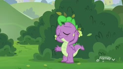 Size: 1920x1080 | Tagged: safe, derpibooru import, screencap, spike, dragon, father knows beast, bush, discovery family logo, male, solo, twig, winged spike