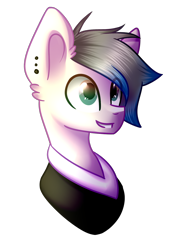 Size: 1036x1440 | Tagged: safe, artist:despotshy, oc, oc only, oc:oliver, earth pony, pony, bust, clothes, male, portrait, simple background, solo, stallion, transparent background