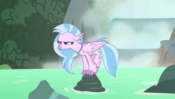 Size: 1920x1080 | Tagged: safe, derpibooru import, screencap, silverstream, classical hippogriff, hippogriff, season 8, what lies beneath, behaving like a bird, birds doing bird things, female, narrowed eyes, perching, rock, silverstream is not amused, solo, unamused, water