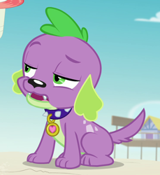 Size: 742x811 | Tagged: safe, derpibooru import, screencap, spike, spike the regular dog, dog, better together, equestria girls, forgotten friendship, cropped, male, paws