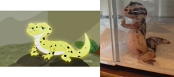 Size: 1272x567 | Tagged: safe, screencap, ray, gecko, eqg summertime shorts, equestria girls, pet project, comparison, irl, irl ray, leopard gecko, pet, photo