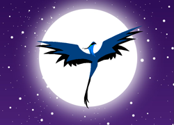 Size: 887x640 | Tagged: safe, artist:xbluexmoonx, derpibooru import, bird, phoenix, full moon, moon, night, night phoenix, solo, spread wings, stars, wings