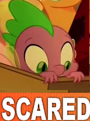 Size: 297x399 | Tagged: safe, spike, dragon, my little pony: the movie, cropped, meme, reaction image, scared, solo focus, tony kornheiser, why.jpg