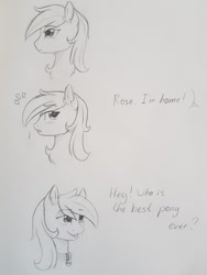 Size: 810x1080 | Tagged: safe, artist:black phoenix, roseluck, earth pony, pony, bust, chest fluff, collar, comic, cute, ear fluff, female, mare, monochrome, open mouth, pet tag, pony pet, portrait, profile, rosepet, solo, text, traditional art