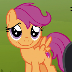 Size: 603x603 | Tagged: safe, derpibooru import, screencap, scootaloo, pegasus, pony, the washouts (episode), cropped, cute, cutealoo, cutie mark, female, filly, solo, the cmc's cutie marks