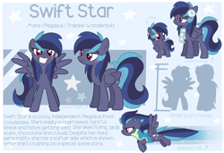 Size: 3000x2048 | Tagged: safe, artist:cinnamontee, derpibooru import, oc, oc:swift star, pegasus, pony, clothes, female, mare, reference sheet, solo, uniform, wonderbolt trainee uniform