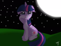 Size: 2048x1536 | Tagged: safe, artist:littleovertures, twilight sparkle, twilight sparkle (alicorn), alicorn, crying, floppy ears, moon, night, sad